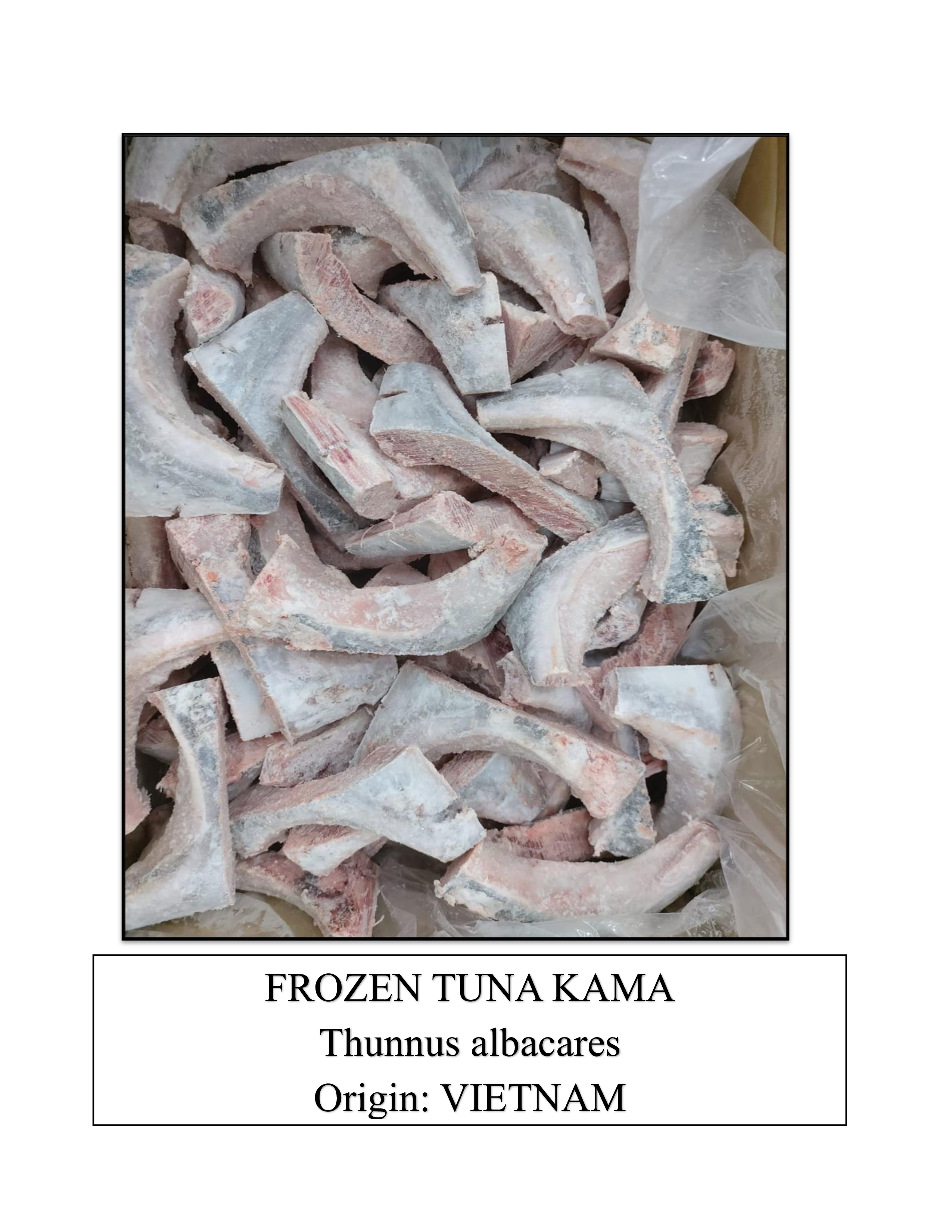 Frozen Tuna Kama